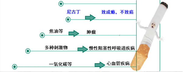 微信图片_20241126171200.jpg